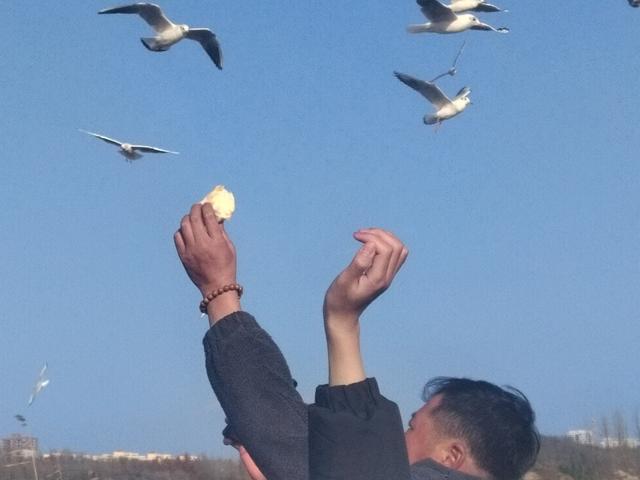 威宁：绘“人鸟共生”幸福新蓝图