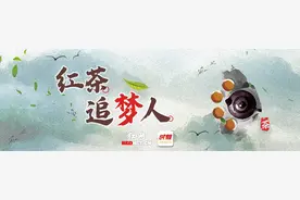 红茶追梦人⑤图片