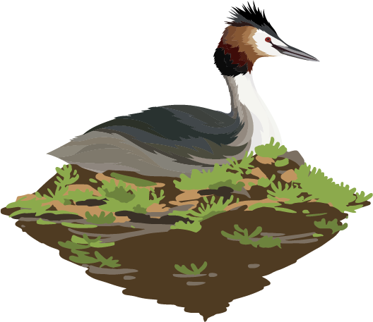 阳山自然驿站矩阵落成，全域科学体验线路启用