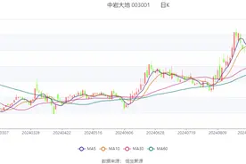 中岩大地：2024年上半年净利润2020.38万元 同比增长250.27%图片