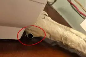 又上热搜！情侣住酒店发现空调通风管藏摄像头！国庆出游当心这些隐藏点！图片