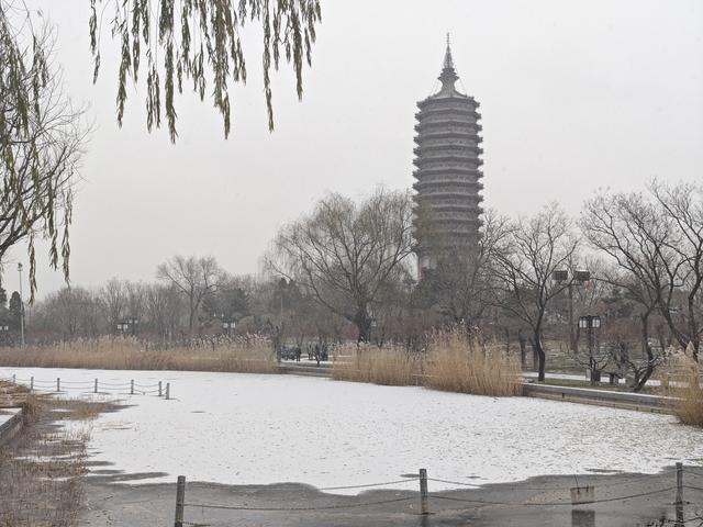 京城初雪如约而至！雪落无声，人游有影