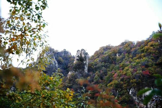 “双节”洛阳文旅放大招！免票、半价、折扣齐上阵