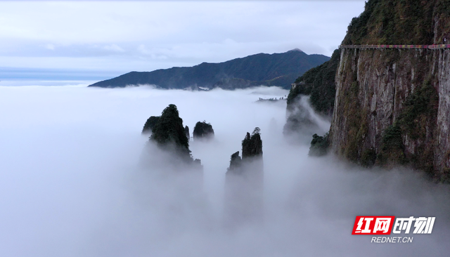 哲学里的郴州 | 看宜章“小而美”，场景即生产力