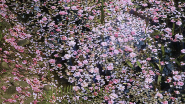 在川大，这是我的珍藏地！