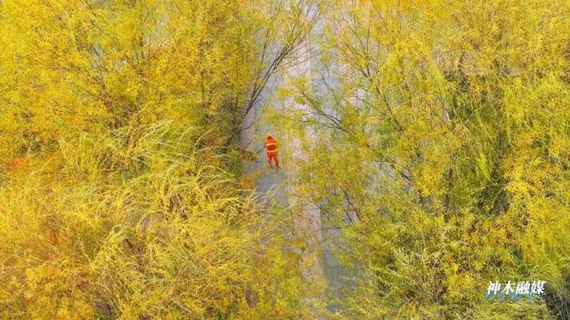 神木滨河新区秋色如画 邂逅诗意生态美景