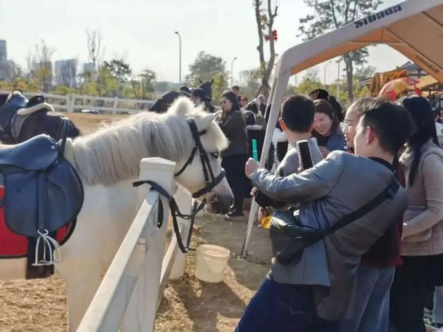 来福州赏灯闹元宵！攻略来了！