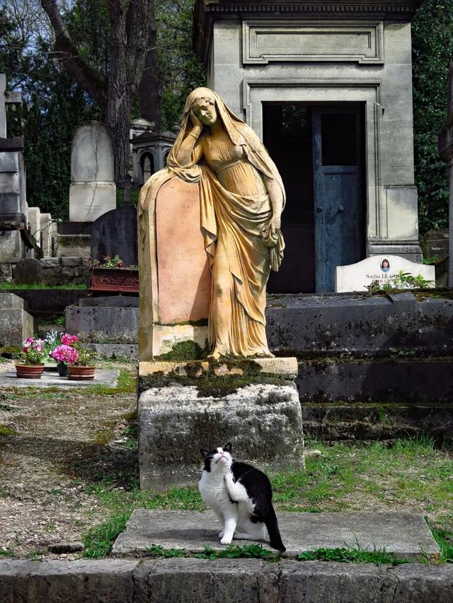 清明逛逛「鬼地方」：墓地散步指南