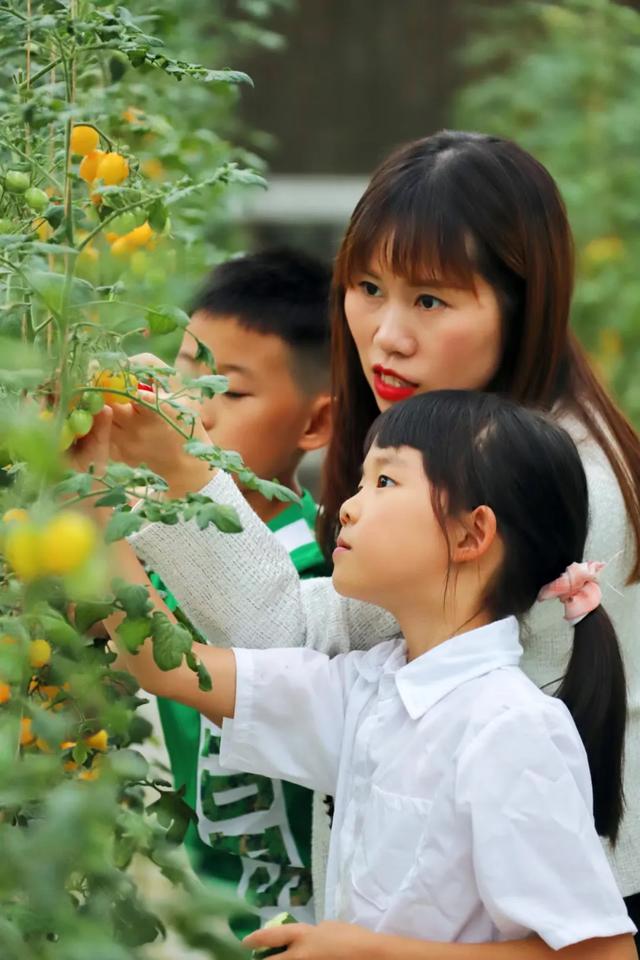 乐游绵阳 清凉一夏 ‖ 抓住暑假的尾巴~激情冲浪+泡泡派对+非遗手作......带娃快乐过暑假！