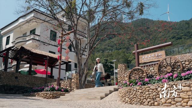 上新！“云上南清”步道直通山顶，研学民宿齐上线