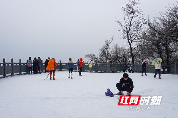 组图丨银装素裹，美成水墨画！岳麓山限定版冬景“上新”