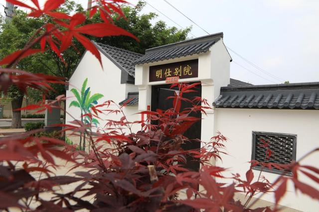 东毛西毛国庆宝藏玩法大公开，解锁田园奇妙日！