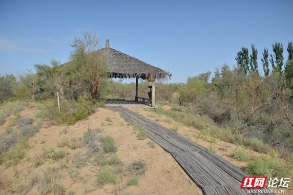 岁暖时刻丨我与黄河的几次遇见