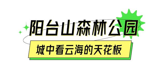 我的宝藏城区：宝安十一假期打卡不完全攻略