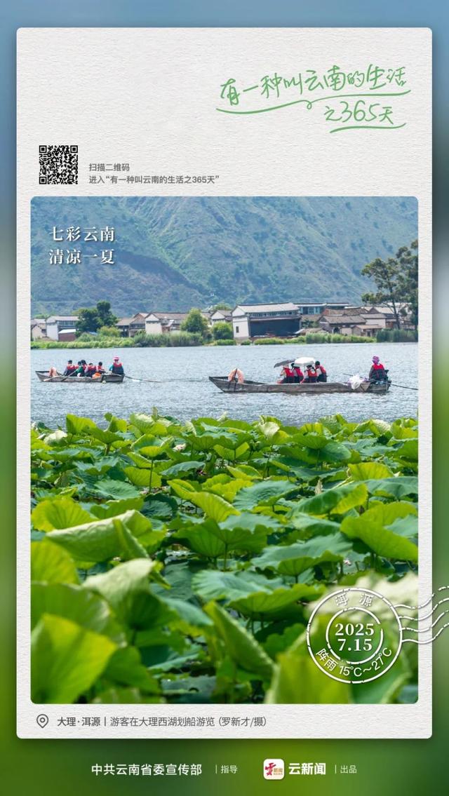 “哪儿凉快哪儿待着去”？我选云南！丨有一种叫云南的生活之365天
