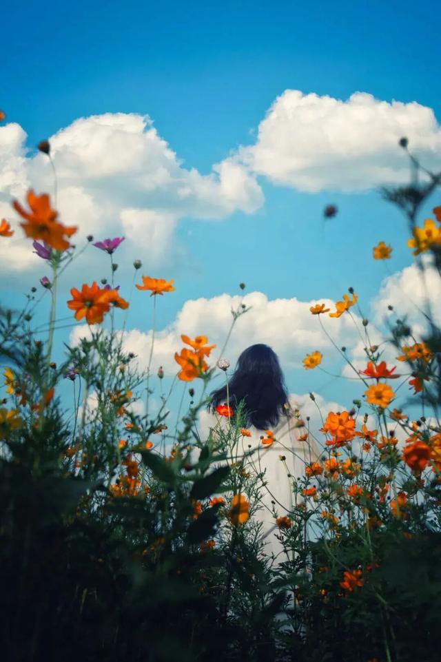 今秋，洛阳九大最美场景等你解锁