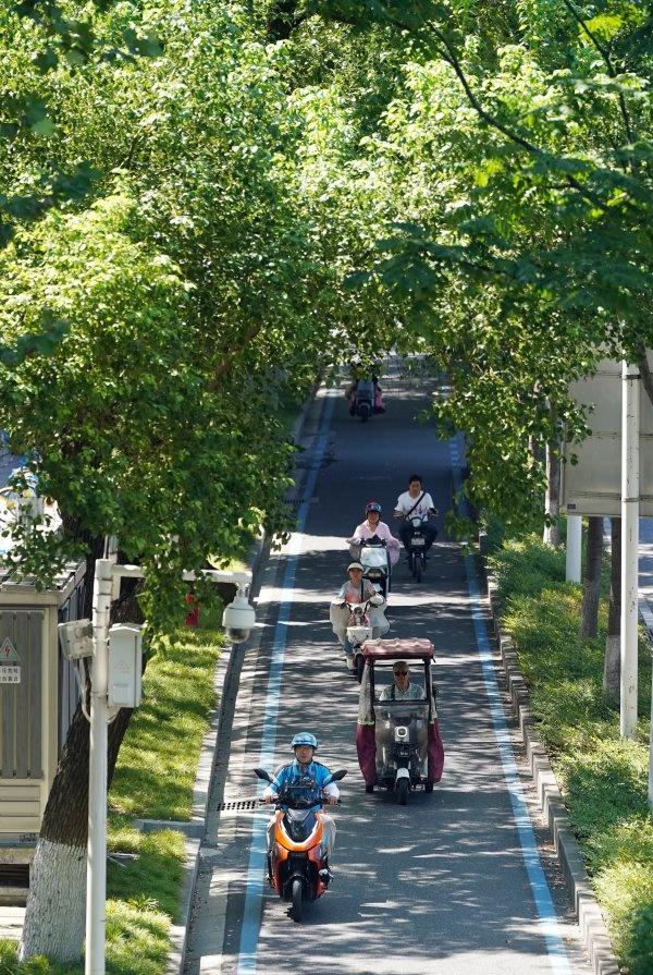 80万株行道树遮住烈日，外卖骑手爱上武汉“林荫自由”