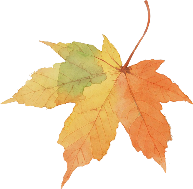 遇见丨开福上新色：捕捉开福黄调时刻