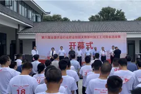 全省茶人现场pk！第六届全国农业行业职业技能大赛茶叶加工工河南省选拔赛开赛图片
