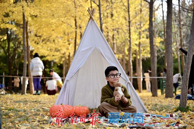 一年四季 泉在济南丨银杏洒金秋意浓 公园变身“天然影棚”