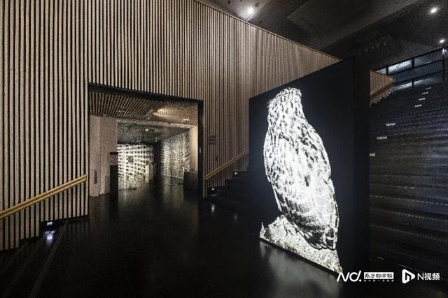 重思自然与人类的关系，展览“自然契约”登陆清华艺博