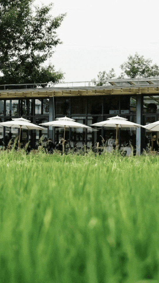 冲破次元壁！大邑“下雪”了