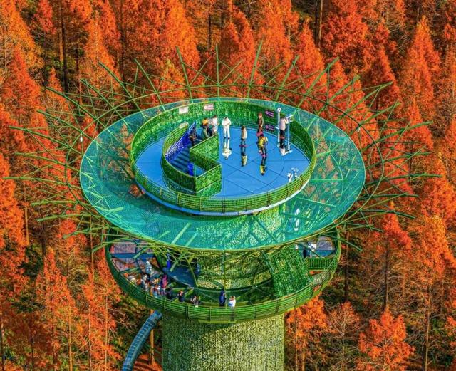 抓紧出发！错过就要等明年！