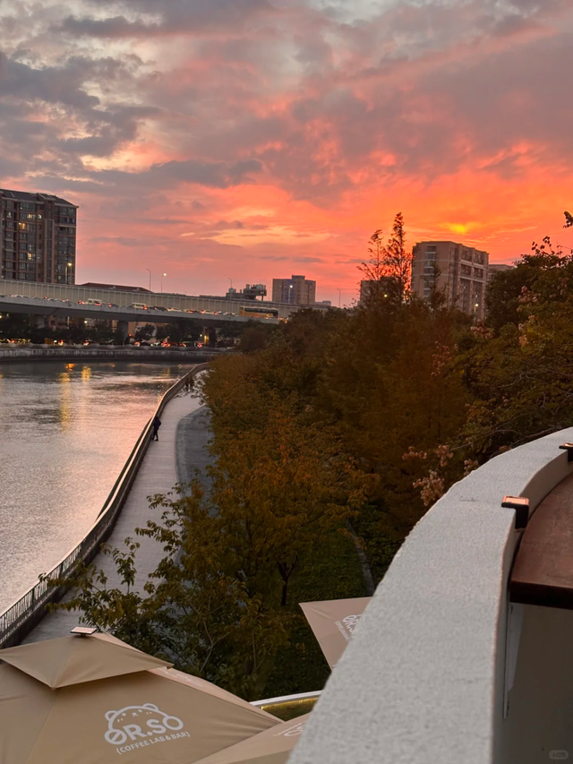 红叶+落日！深秋限定！用一下午时间感受河畔最美秋色