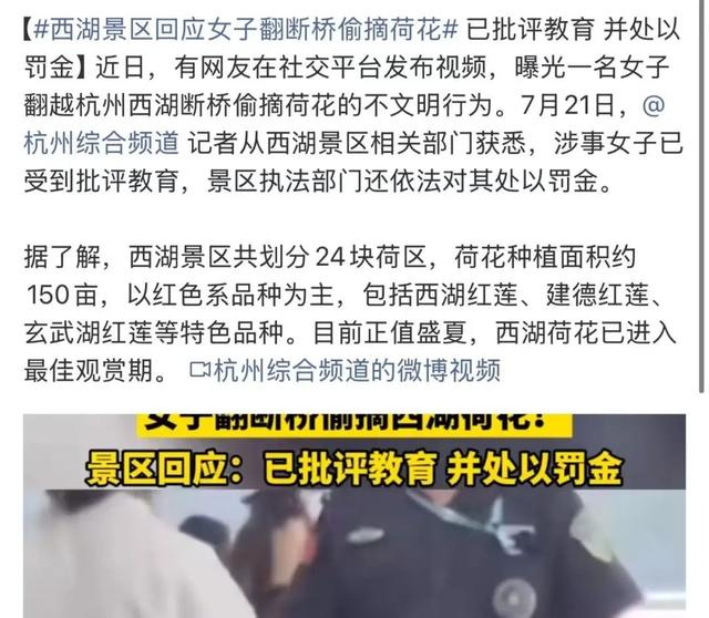 西湖断桥突发！有人跳下......刚刚景区回应！