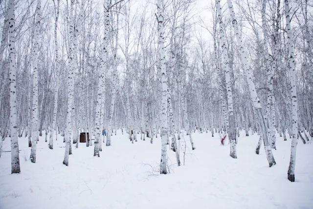 一场-30℃的狂欢，正在呼伦贝尔筹备