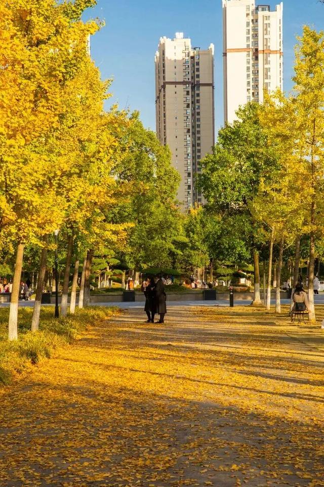 超美超出片！荆门这些宝藏地，附详细打卡攻略