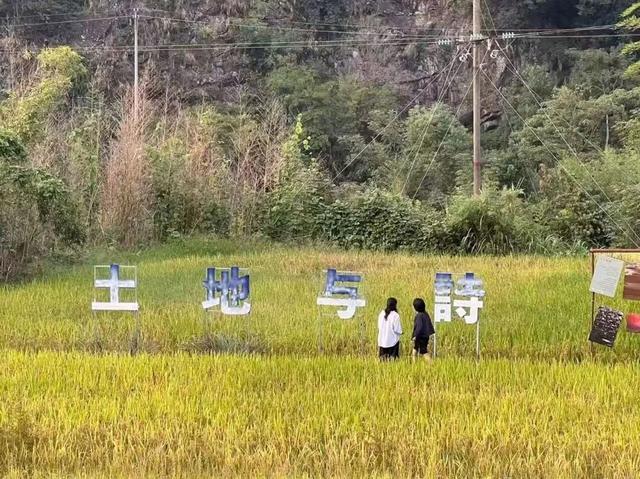 央媒看南平｜玲珑溪谷“懒生活”：青年力量唤醒南平乡野活力
