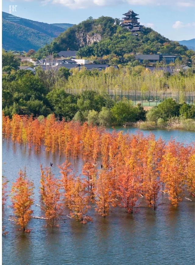 现在的宜兴，已经美成这样了……