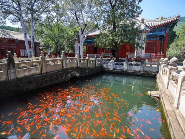北京号最精彩 | 观景台、山地跑道一应俱全！海淀再添一座休闲公园