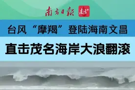 滚动｜9月7日10时起茂名解除防台风“五停”指令图片
