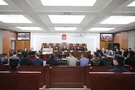 重庆法院宣判一起涉野生植物保护刑事案件图片