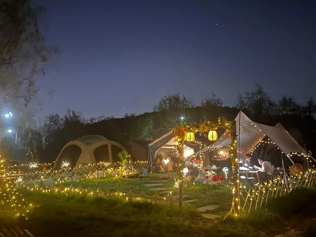 在虫鸣与星光间 找到生活的另一种可能