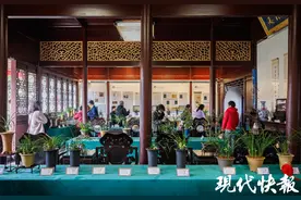 “兰香幽韵 园梦雅境”兰花展在常熟燕园开幕图片