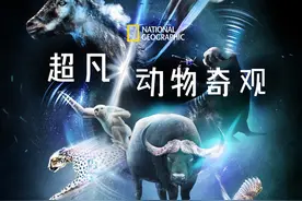 纪录片《超凡动物奇观》中文版上线，叫孩子看起来图片