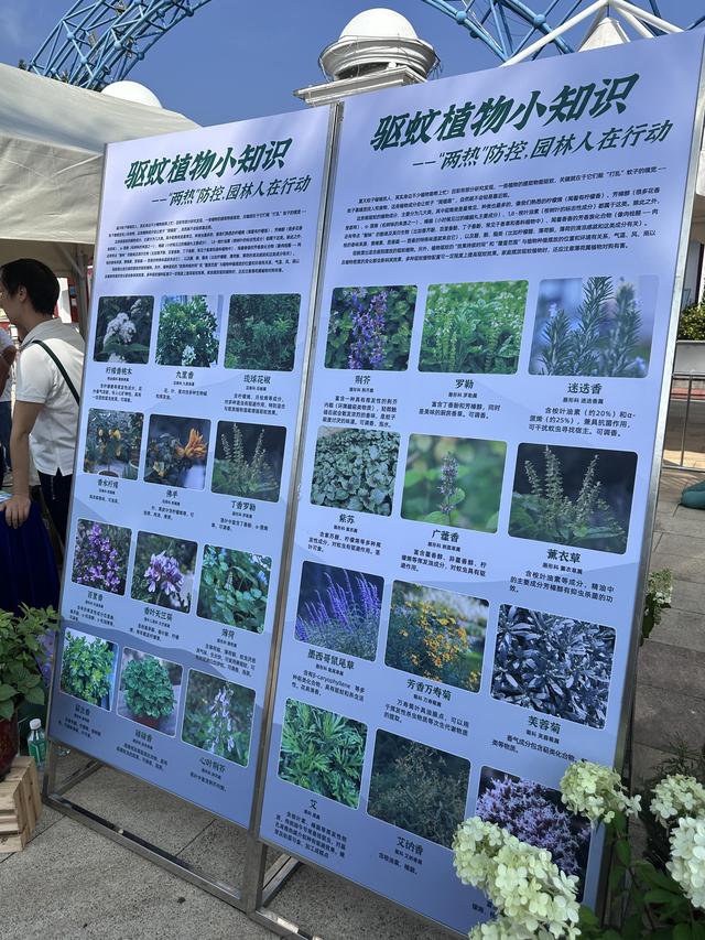 机器狗救援、“驱蚊”植物、科普游戏！广州开启“健康+”嘉年华
