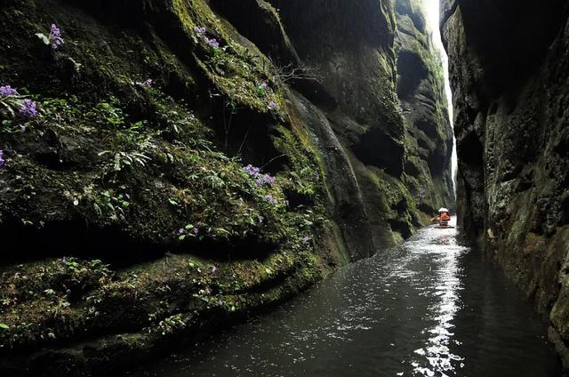 三明上榜“2025年中国康养城市排行榜百强”，邀您来解锁一场自然疗愈之旅～