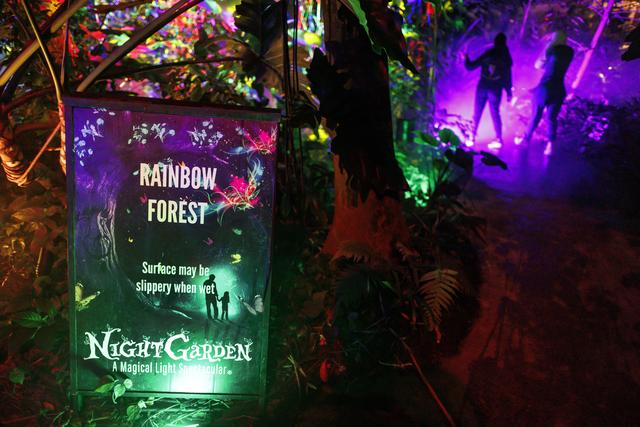 （外代二线）“夜间公园”灯光秀