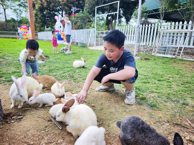 “双节”期间四会“文旅体”融合玩出新花样→