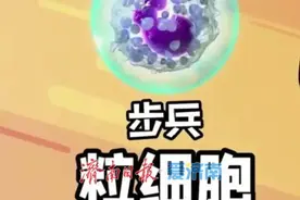 世界免疫周 | 了解身体里的特种部队——免疫细胞图片