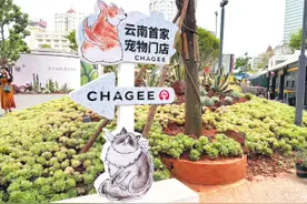 “它”经济迸发新活力图片