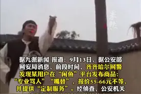 在网上兼职"嘴替"获利1650元，以侮辱、诽谤他人获取利益。警方：追缴违法所得罚500元。图片