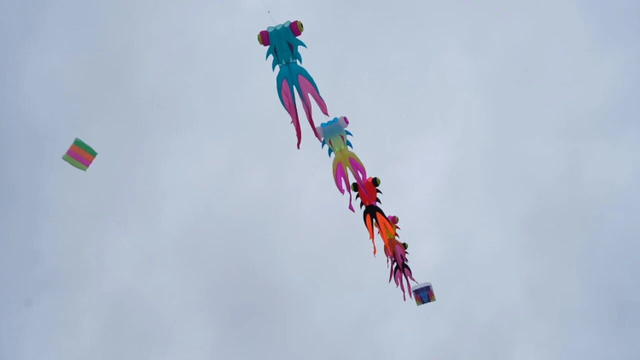 南通如东：彩鸢竞飞，“筝”奇斗艳
