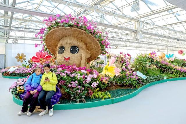 家庭园艺嘉年华| 2026北京兰花文化嘉年华在昌平盛大开幕