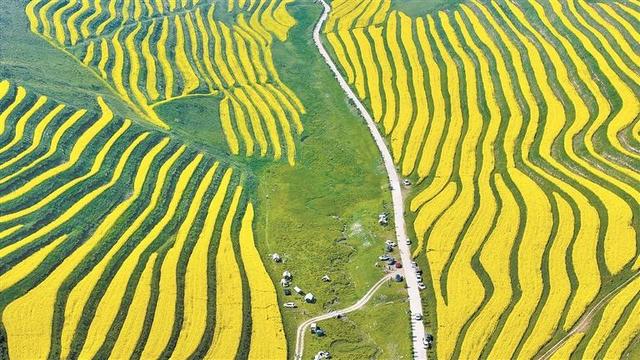 大美青海：云端之上的生态诗篇 图/文  本报记者  王伟才  祁国彪  李 娜  魏雅琪