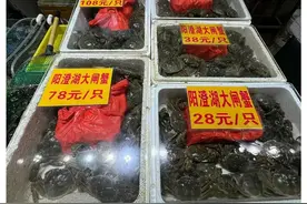 今年蟹价要涨三四成？吃蟹黄会致癌？关于大闸蟹的这些传言是真的吗图片